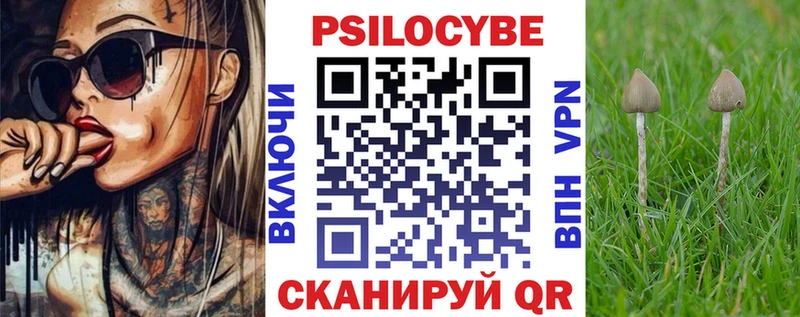 наркотики  Перевоз  Галлюциногенные грибы прущие грибы 